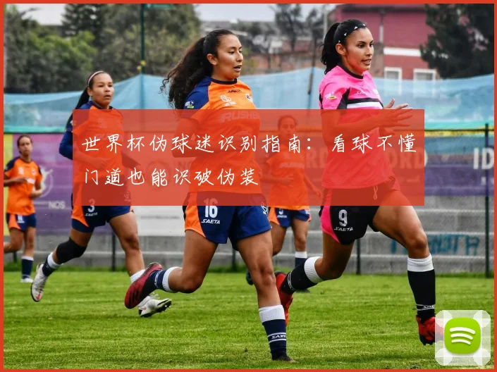世界杯伪球迷识别指南:看球不懂门道也能识破伪装