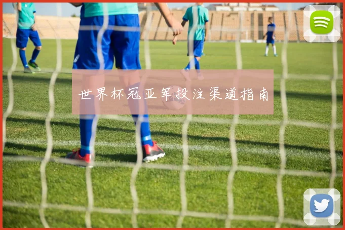 世界杯冠亚军投注渠道指南