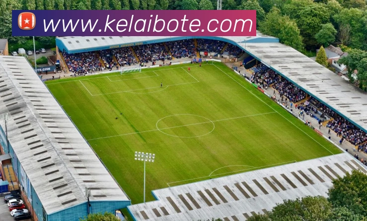 世界杯官方网络平台平台生态图